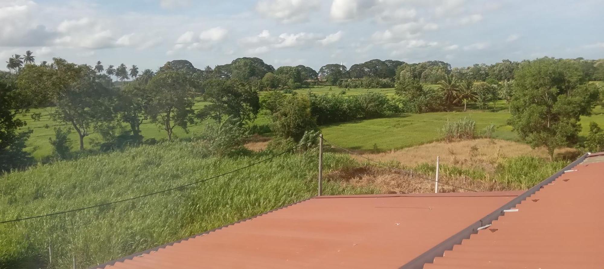 Bliss Lake, Holiday Bungalow, Thissawewa Anuradhapura Exterior foto